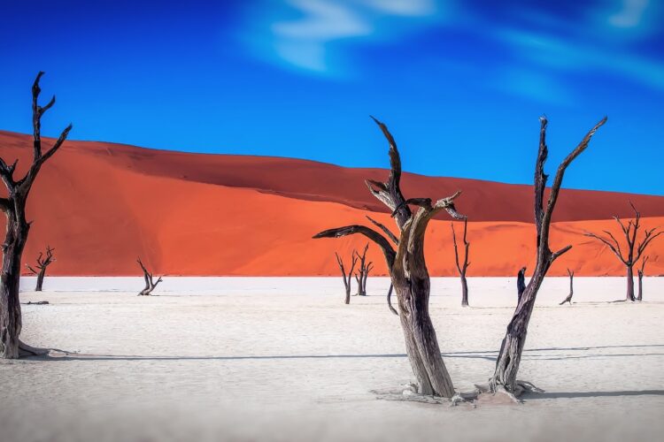 Dad Vlei PB 1 750x500