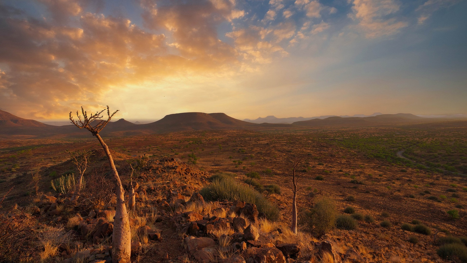 Damaraland 2 2
